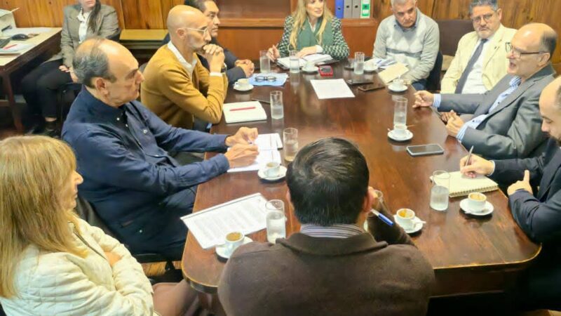 EL PRESIDENTE DEL IPS REALIZÓ UN INFORME DE SU GESTIÓN ANTE LA COMISIÓN DE SALUD