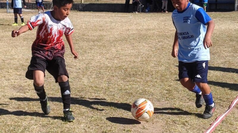 La Liga Infantil de Fútbol de Campo Quijano continúa creciendo y sumando protagonistas