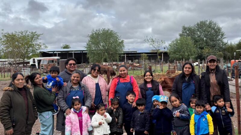 UNA HERMOSA AVENTURA EN LA GRANJA DE NOÉ!